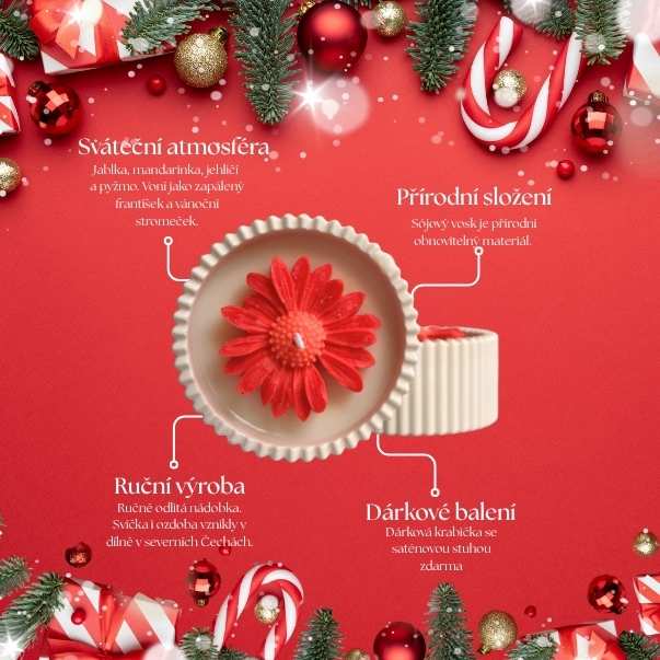 vanoce stromecek christmas svicka sojova hvezda advent